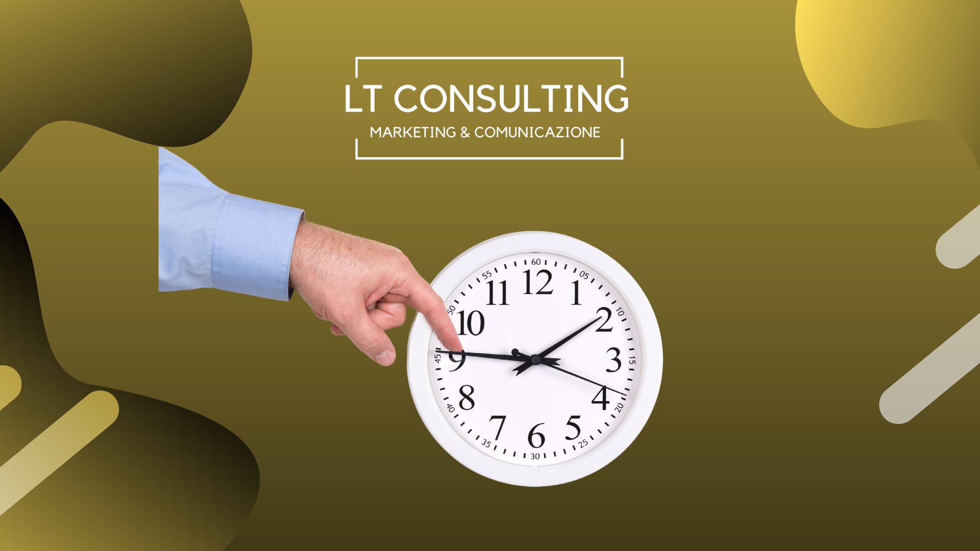 lt consulting news